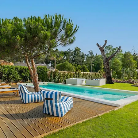 Almaa Da Ria * Ílhavo